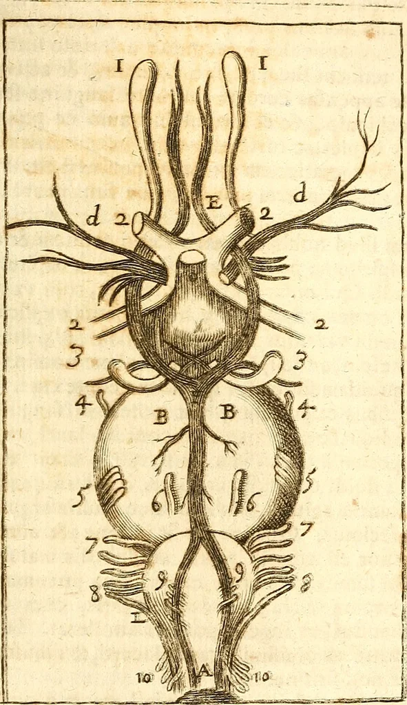 An illustration from Operum philosophicorum, 1681, leaf 640