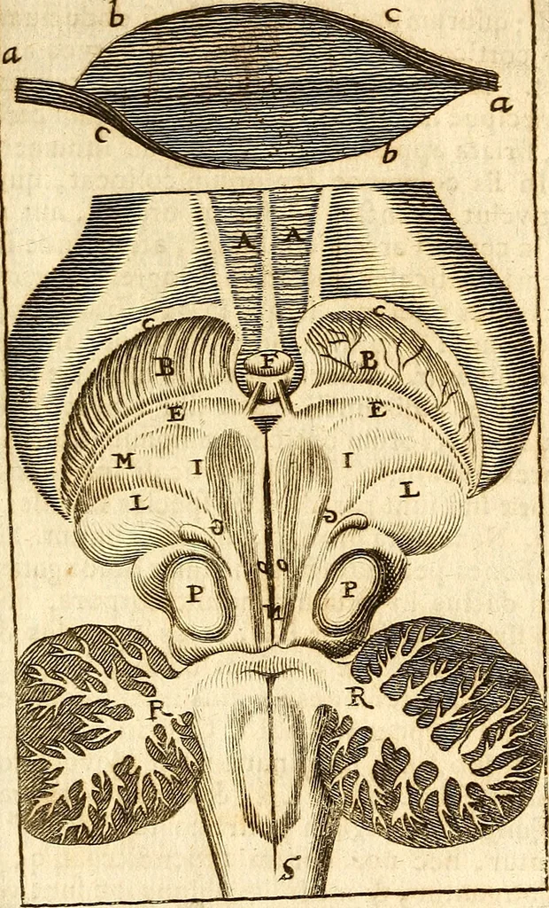An illustration from Operum philosophicorum, 1681, leaf 650