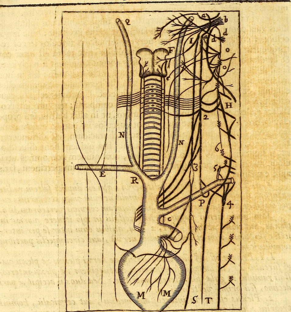 An illustration from Operum philosophicorum, 1681, leaf 685