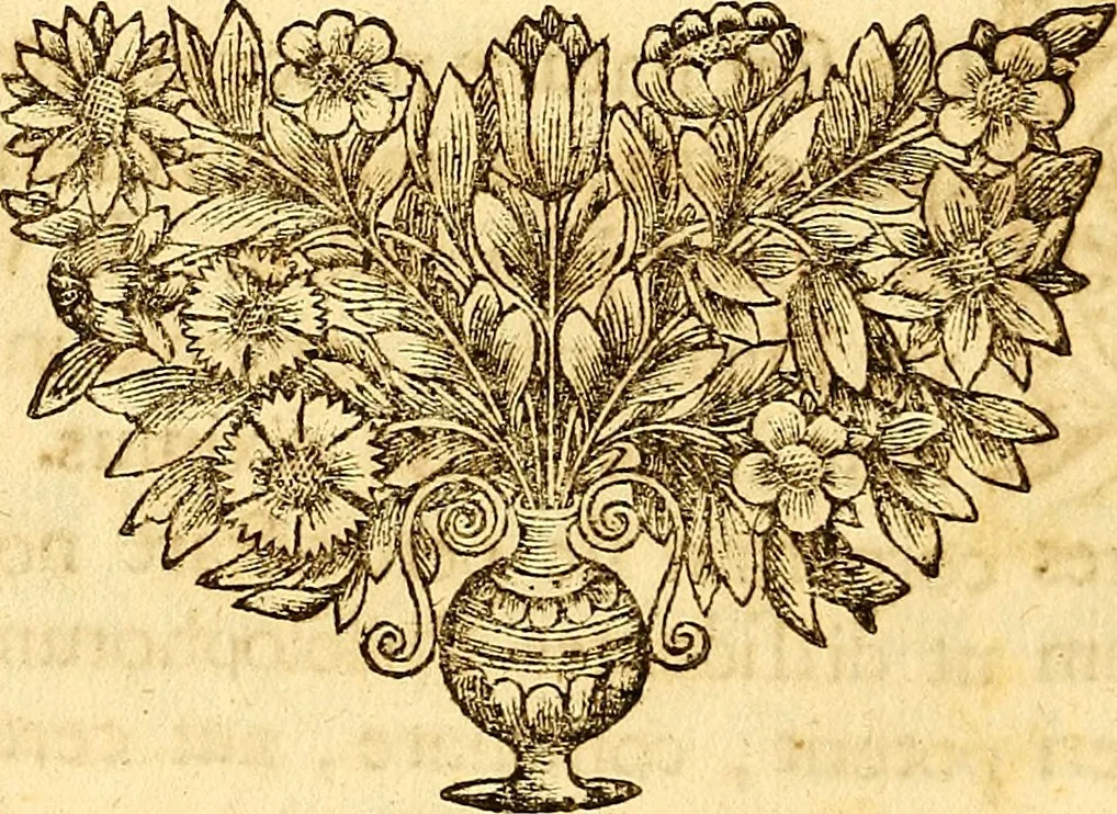 An illustration from Operum philosophicorum, 1681, leaf 7