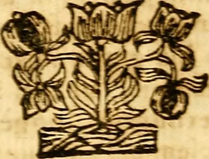 An illustration from Operum philosophicorum, 1681, leaf 83