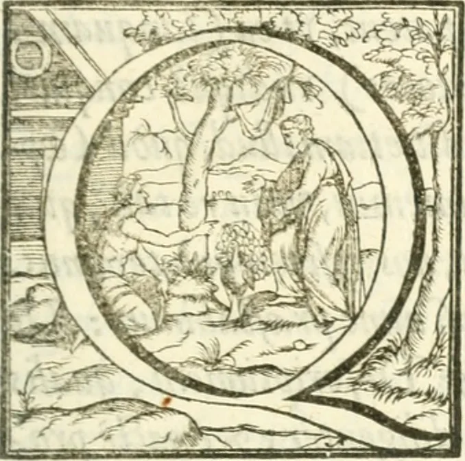 An illustration from Opervm moralivm et civilivm tomus. Qui continet Historiam regni Henrici Septimi, regis Angliae. Sermones fideles, sive Interiora rerum. Tractatum de sapientia veterum. Dialogum de bello sacro. Et Novam Atlantidem. Ab ipso honoratissimo auctore, praeterquam in paucis, latinitate donatus, 1638, leaf 1258