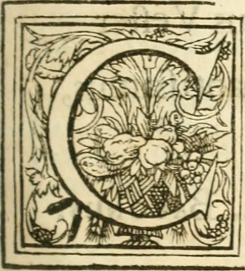 An illustration from Opervm moralivm et civilivm tomus. Qui continet Historiam regni Henrici Septimi, regis Angliae. Sermones fideles, sive Interiora rerum. Tractatum de sapientia veterum. Dialogum de bello sacro. Et Novam Atlantidem. Ab ipso honoratissimo auctore, praeterquam in paucis, latinitate donatus, 1638, leaf 286