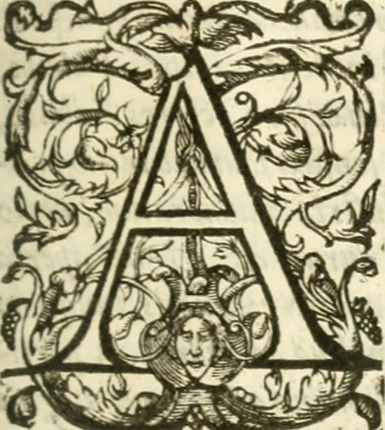 An illustration from Opervm moralivm et civilivm tomus. Qui continet Historiam regni Henrici Septimi, regis Angliae. Sermones fideles, sive Interiora rerum. Tractatum de sapientia veterum. Dialogum de bello sacro. Et Novam Atlantidem. Ab ipso honoratissimo auctore, praeterquam in paucis, latinitate donatus, 1638, leaf 290
