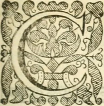 An illustration from Opervm moralivm et civilivm tomus. Qui continet Historiam regni Henrici Septimi, regis Angliae. Sermones fideles, sive Interiora rerum. Tractatum de sapientia veterum. Dialogum de bello sacro. Et Novam Atlantidem. Ab ipso honoratissimo auctore, praeterquam in paucis, latinitate donatus, 1638, leaf 406