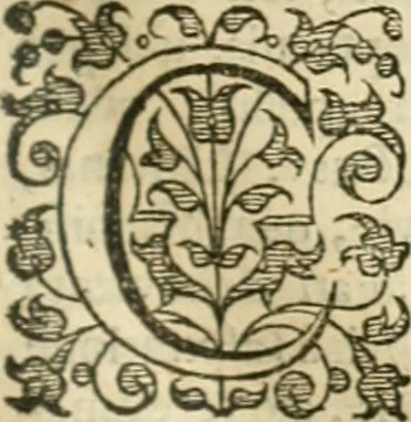 An illustration from Opervm moralivm et civilivm tomus. Qui continet Historiam regni Henrici Septimi, regis Angliae. Sermones fideles, sive Interiora rerum. Tractatum de sapientia veterum. Dialogum de bello sacro. Et Novam Atlantidem. Ab ipso honoratissimo auctore, praeterquam in paucis, latinitate donatus, 1638, leaf 458