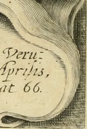 An illustration from Opervm moralivm et civilivm tomus. Qui continet Historiam regni Henrici Septimi, regis Angliae. Sermones fideles, sive Interiora rerum. Tractatum de sapientia veterum. Dialogum de bello sacro. Et Novam Atlantidem. Ab ipso honoratissimo auctore, praeterquam in paucis, latinitate donatus, 1638, leaf 5
