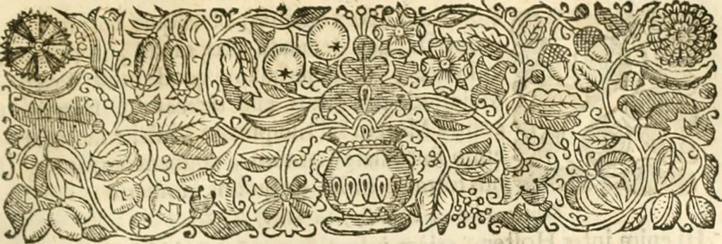 An illustration from Opervm moralivm et civilivm tomus. Qui continet Historiam regni Henrici Septimi, regis Angliae. Sermones fideles, sive Interiora rerum. Tractatum de sapientia veterum. Dialogum de bello sacro. Et Novam Atlantidem. Ab ipso honoratissimo auctore, praeterquam in paucis, latinitate donatus, 1638, leaf 528