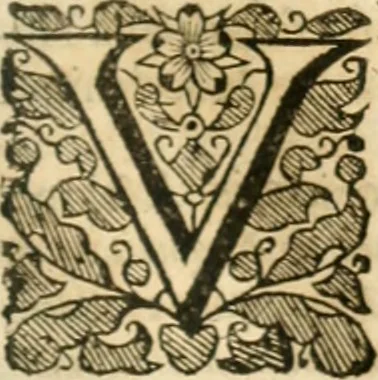 An illustration from Opervm moralivm et civilivm tomus. Qui continet Historiam regni Henrici Septimi, regis Angliae. Sermones fideles, sive Interiora rerum. Tractatum de sapientia veterum. Dialogum de bello sacro. Et Novam Atlantidem. Ab ipso honoratissimo auctore, praeterquam in paucis, latinitate donatus, 1638, leaf 650