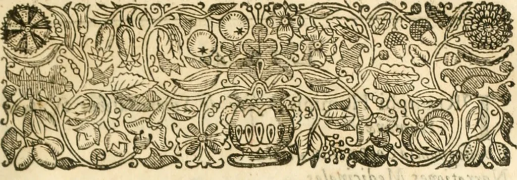 An illustration from Opervm moralivm et civilivm tomus. Qui continet Historiam regni Henrici Septimi, regis Angliae. Sermones fideles, sive Interiora rerum. Tractatum de sapientia veterum. Dialogum de bello sacro. Et Novam Atlantidem. Ab ipso honoratissimo auctore, praeterquam in paucis, latinitate donatus, 1638, leaf 716