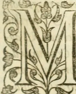 An illustration from Opervm moralivm et civilivm tomus. Qui continet Historiam regni Henrici Septimi, regis Angliae. Sermones fideles, sive Interiora rerum. Tractatum de sapientia veterum. Dialogum de bello sacro. Et Novam Atlantidem. Ab ipso honoratissimo auctore, praeterquam in paucis, latinitate donatus, 1638, leaf 726