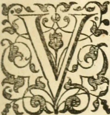 An illustration from Opervm moralivm et civilivm tomus. Qui continet Historiam regni Henrici Septimi, regis Angliae. Sermones fideles, sive Interiora rerum. Tractatum de sapientia veterum. Dialogum de bello sacro. Et Novam Atlantidem. Ab ipso honoratissimo auctore, praeterquam in paucis, latinitate donatus, 1638, leaf 732