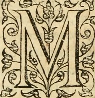 An illustration from Opervm moralivm et civilivm tomus. Qui continet Historiam regni Henrici Septimi, regis Angliae. Sermones fideles, sive Interiora rerum. Tractatum de sapientia veterum. Dialogum de bello sacro. Et Novam Atlantidem. Ab ipso honoratissimo auctore, praeterquam in paucis, latinitate donatus, 1638, leaf 783