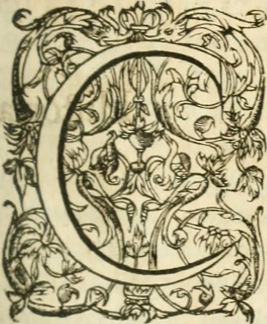 An illustration from Opervm moralivm et civilivm tomus. Qui continet Historiam regni Henrici Septimi, regis Angliae. Sermones fideles, sive Interiora rerum. Tractatum de sapientia veterum. Dialogum de bello sacro. Et Novam Atlantidem. Ab ipso honoratissimo auctore, praeterquam in paucis, latinitate donatus, 1638, leaf 790
