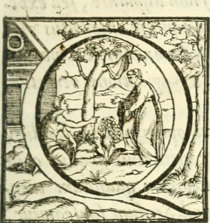 An illustration from Opervm moralivm et civilivm tomus. Qui continet Historiam regni Henrici Septimi, regis Angliae. Sermones fideles, sive Interiora rerum. Tractatum de sapientia veterum. Dialogum de bello sacro. Et Novam Atlantidem. Ab ipso honoratissimo auctore, praeterquam in paucis, latinitate donatus, 1638, leaf 940