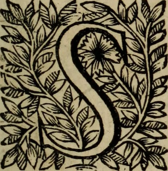 An illustration from O Phaenix da Lusitania, ou, Aclamaçam do serenissimo Rey de Portugal Dom Ioam IV. do nome : poema heroico, 1649, leaf 10
