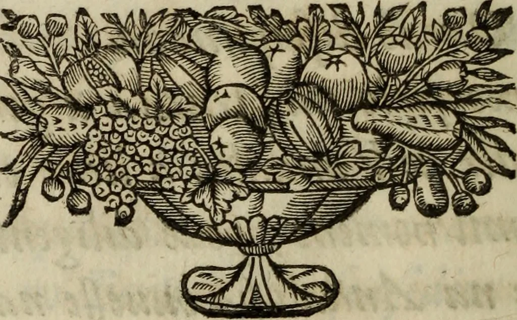 An illustration from O Phaenix da Lusitania, ou, Aclamaçam do serenissimo Rey de Portugal Dom Ioam IV. do nome : poema heroico, 1649, leaf 133