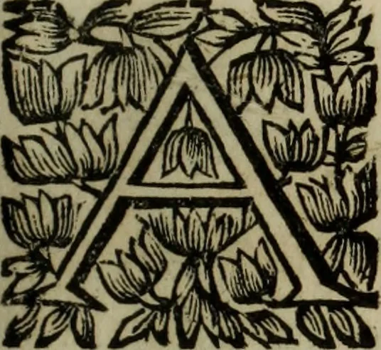 An illustration from O Phaenix da Lusitania, ou, Aclamaçam do serenissimo Rey de Portugal Dom Ioam IV. do nome : poema heroico, 1649, leaf 134