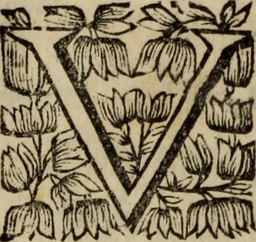 An illustration from O Phaenix da Lusitania, ou, Aclamaçam do serenissimo Rey de Portugal Dom Ioam IV. do nome : poema heroico, 1649, leaf 175
