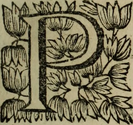 An illustration from O Phaenix da Lusitania, ou, Aclamaçam do serenissimo Rey de Portugal Dom Ioam IV. do nome : poema heroico, 1649, leaf 216