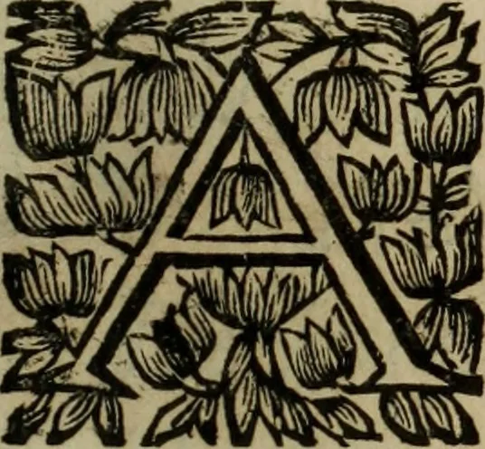 An illustration from O Phaenix da Lusitania, ou, Aclamaçam do serenissimo Rey de Portugal Dom Ioam IV. do nome : poema heroico, 1649, leaf 292