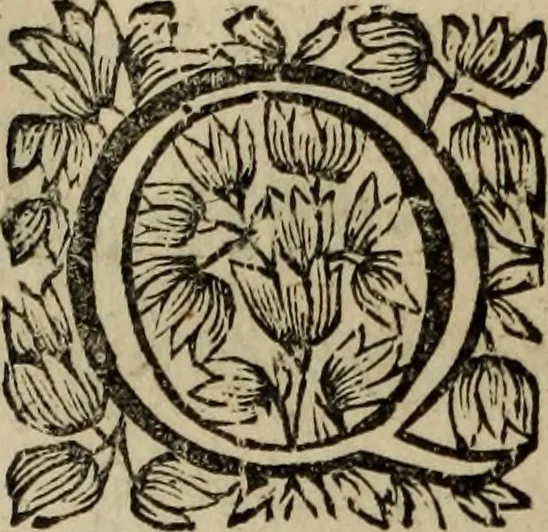 An illustration from O Phaenix da Lusitania, ou, Aclamaçam do serenissimo Rey de Portugal Dom Ioam IV. do nome : poema heroico, 1649, leaf 327