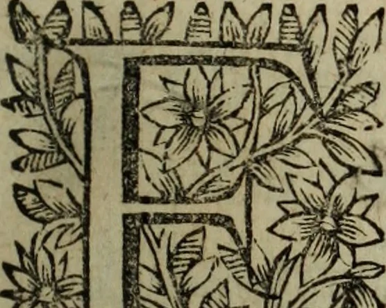 An illustration from O Phaenix da Lusitania, ou, Aclamaçam do serenissimo Rey de Portugal Dom Ioam IV. do nome : poema heroico, 1649, leaf 34