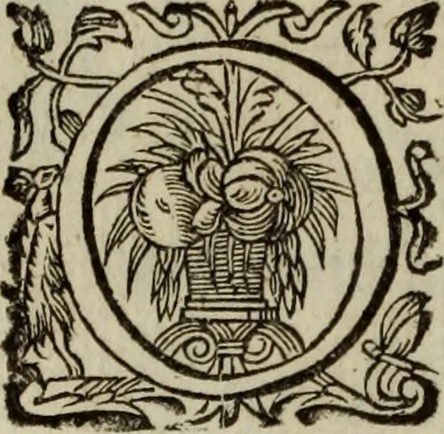 An illustration from O Phaenix da Lusitania, ou, Aclamaçam do serenissimo Rey de Portugal Dom Ioam IV. do nome : poema heroico, 1649, leaf 67