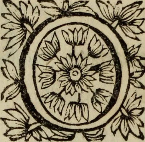 An illustration from O Phaenix da Lusitania, ou, Aclamaçam do serenissimo Rey de Portugal Dom Ioam IV. do nome : poema heroico, 1649, leaf 99