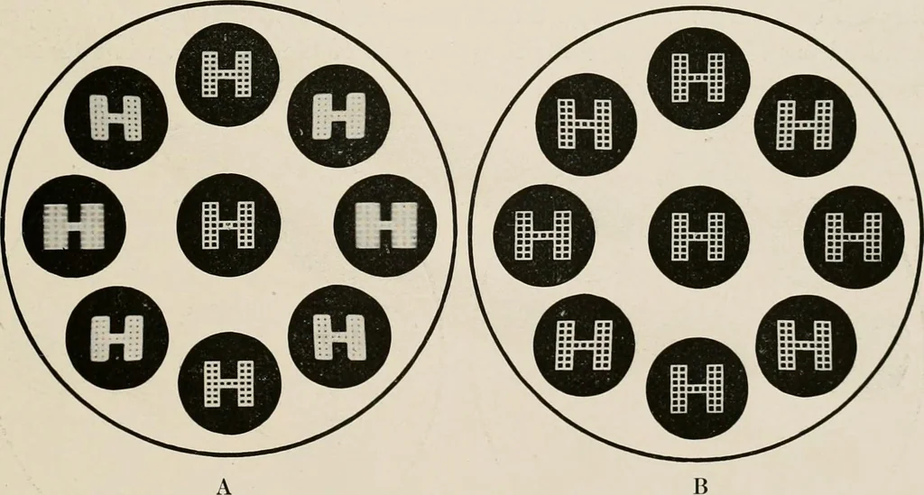 An illustration from Ophthalmic lenses and accessories; lenses, frames, magnifiers and readers .., 1916, leaf 88