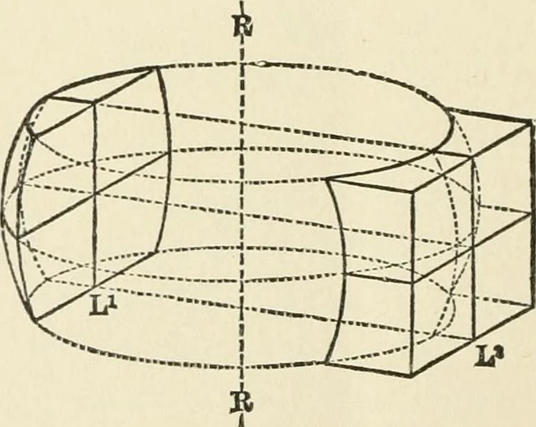 An illustration from Ophthalmic lenses, dioptric formulae for combined cylindrical lenses : the prism-dioptry, and other optical papers, 1900, leaf 49
