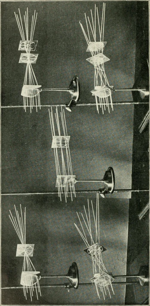 An illustration from Ophthalmic lenses, dioptric formulae for combined cylindrical lenses : the prism-dioptry, and other optical papers, 1900, leaf 7