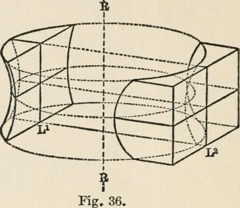 An illustration from Ophthalmic lenses, dioptric formulae for combined cylindrical lenses : the prism-dioptry, and other optical papers, 1907, leaf 49