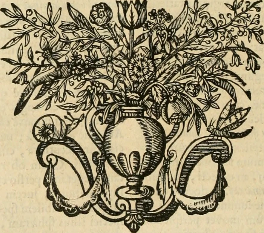 An illustration from Ophthalmographia : sive, Tractatio de oculo, 1648, leaf 111