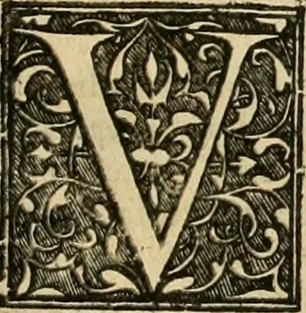 An illustration from Ophthalmographia : sive, Tractatio de oculo, 1648, leaf 208