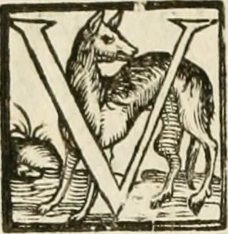An illustration from Ophthalmographia : sive, Tractatio de oculo, 1648, leaf 21