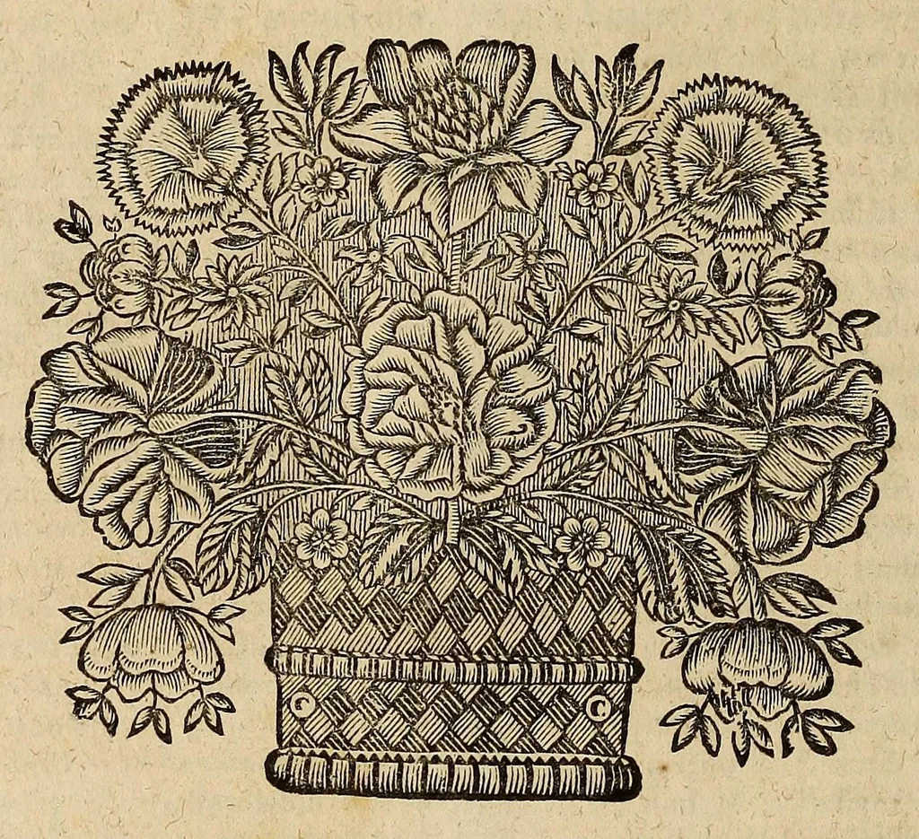 An illustration from Opra omnia, decem tomis distincta, 1697, leaf 558