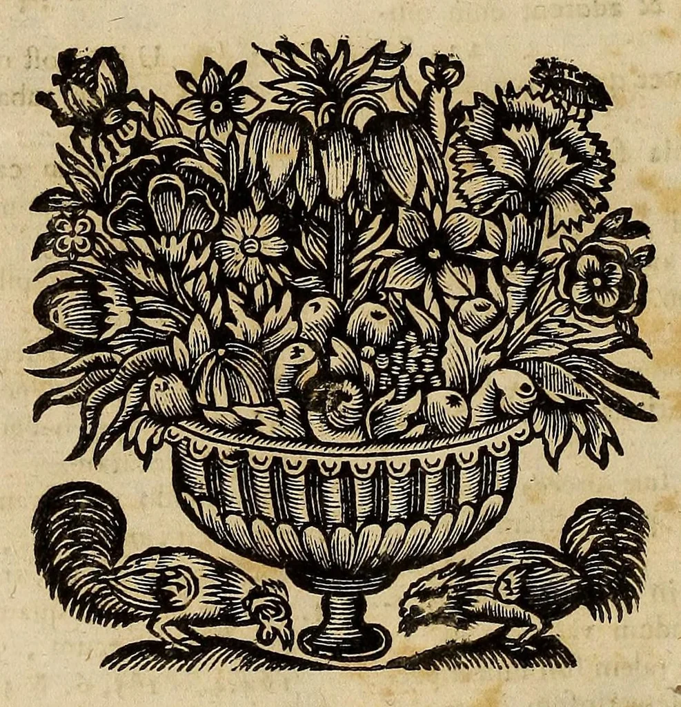 An illustration from Opra omnia, decem tomis distincta, 1697, leaf 62