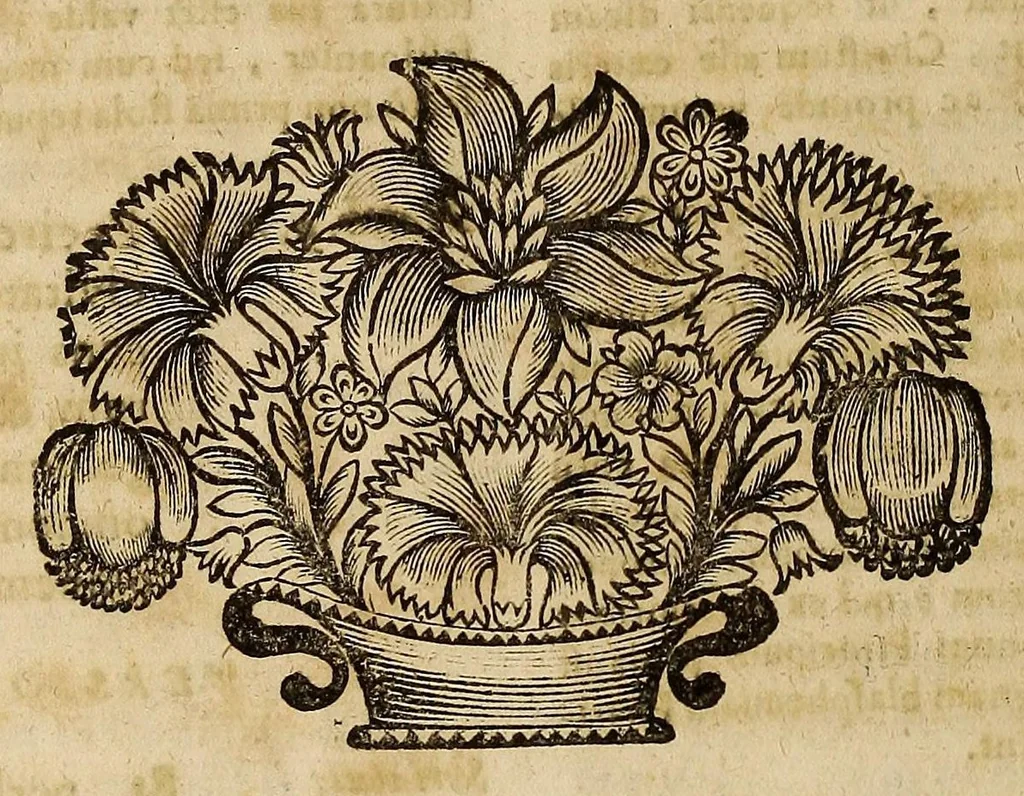 An illustration from Opra omnia, decem tomis distincta, 1697, leaf 700