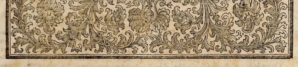 An illustration from Opra omnia, decem tomis distincta, 1697, leaf 13