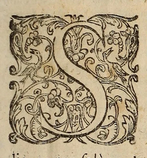 An illustration from Opra omnia, decem tomis distincta, 1697, leaf 67