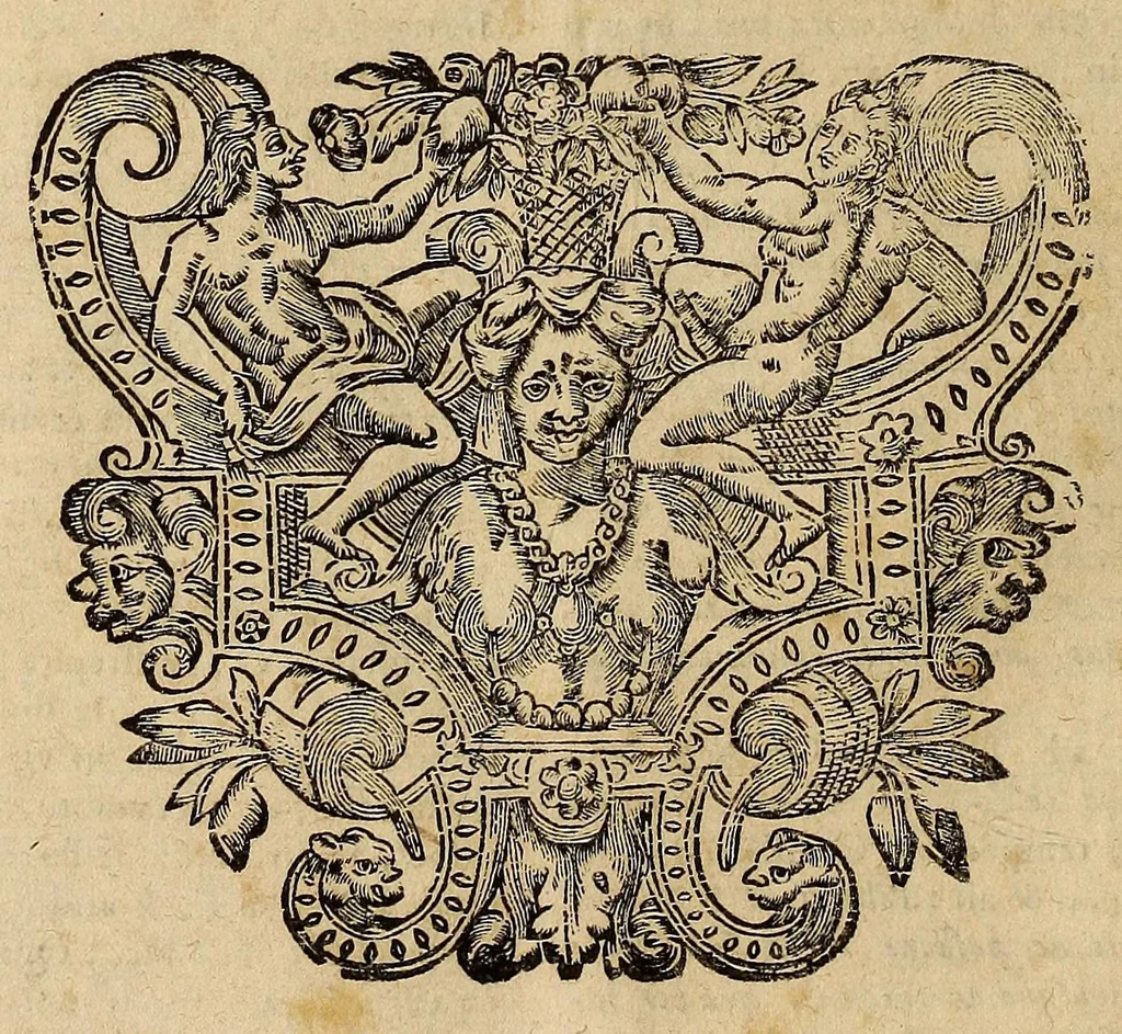 An illustration from Opra omnia, decem tomis distincta, 1697, leaf 358