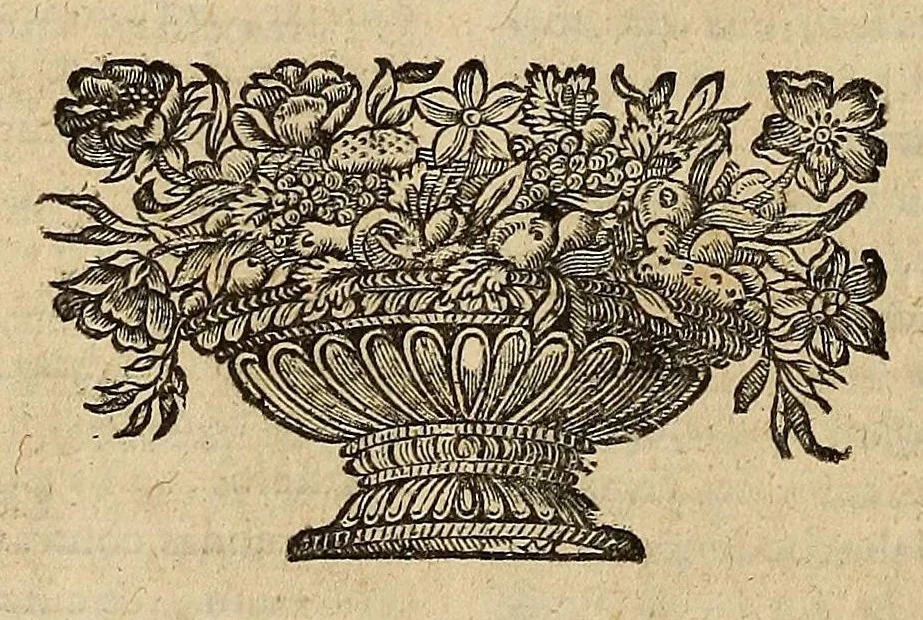 An illustration from Opra omnia, decem tomis distincta, 1697, leaf 414