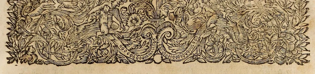 An illustration from Opra omnia, decem tomis distincta, 1697, leaf 729