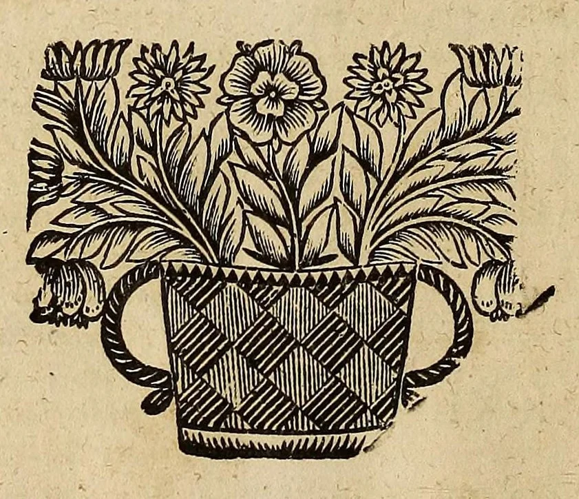 An illustration from Opra omnia, decem tomis distincta, 1697, leaf 350