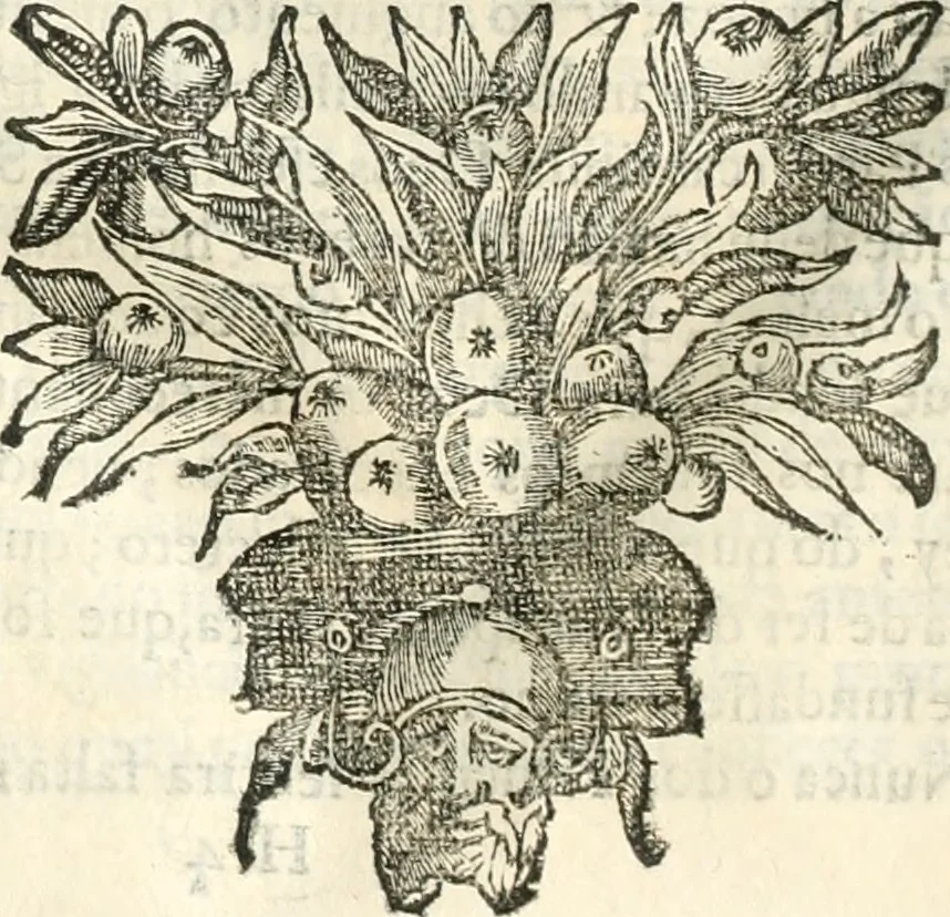 An illustration from O principe dos patriarcas S. Bento : primeiro[-segundo] tomo de sua vida, 1683, leaf 101