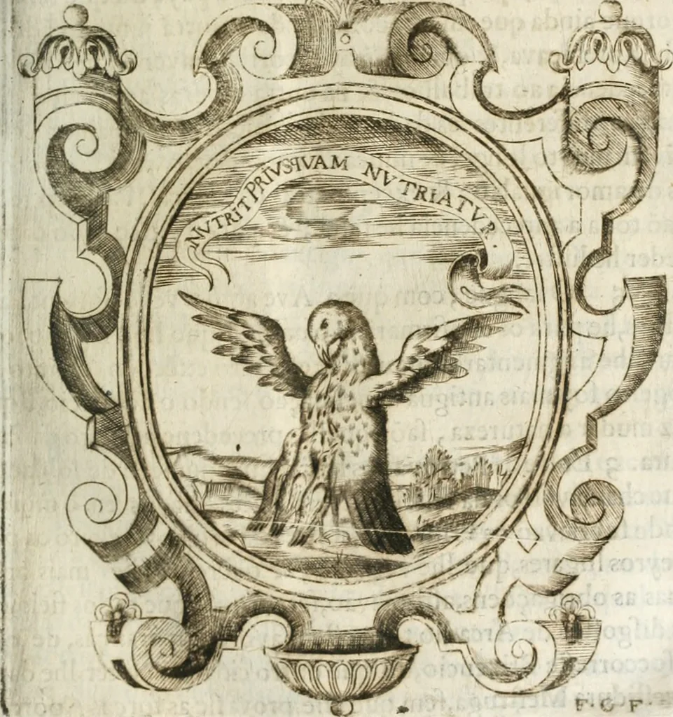 An illustration from O principe dos patriarcas S. Bento : primeiro[-segundo] tomo de sua vida, 1683, leaf 114