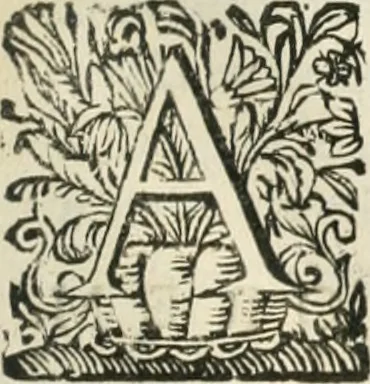 An illustration from O principe dos patriarcas S. Bento : primeiro[-segundo] tomo de sua vida, 1683, leaf 16