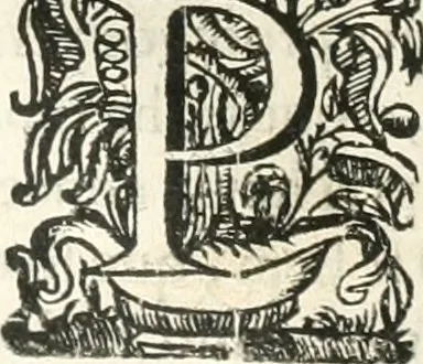 An illustration from O principe dos patriarcas S. Bento : primeiro[-segundo] tomo de sua vida, 1683, leaf 247