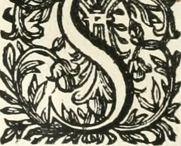 An illustration from O principe dos patriarcas S. Bento : primeiro[-segundo] tomo de sua vida, 1683, leaf 259